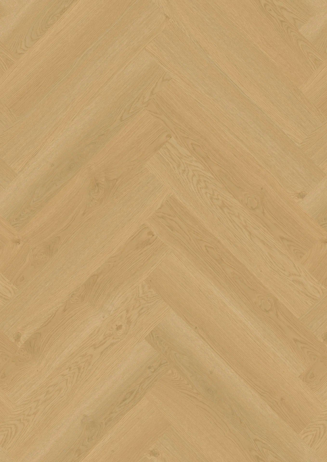 Hoomline - Elegance (Dryback / Visgraat)