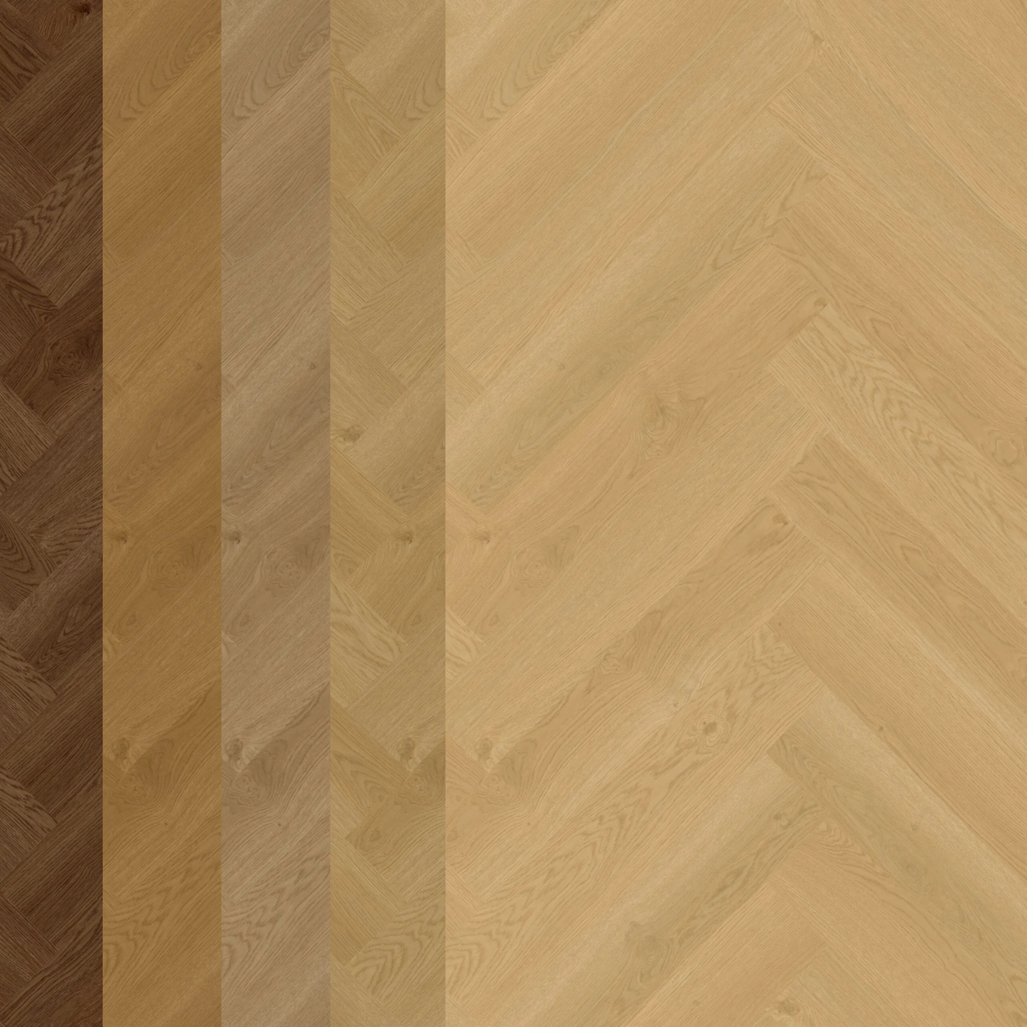 Hoomline - Elegance (Dryback / Visgraat)