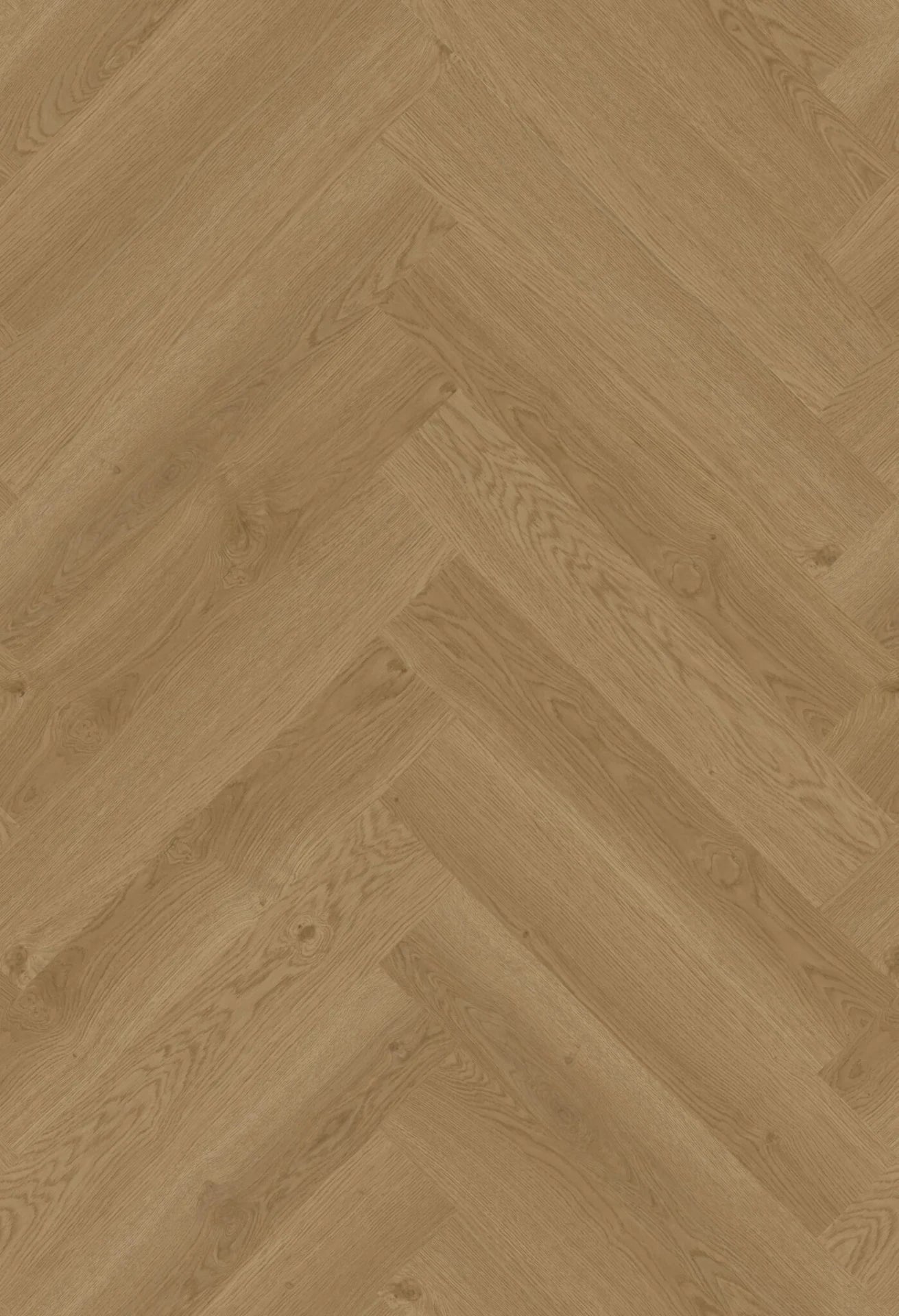 Hoomline - Elegance (Dryback / Visgraat)