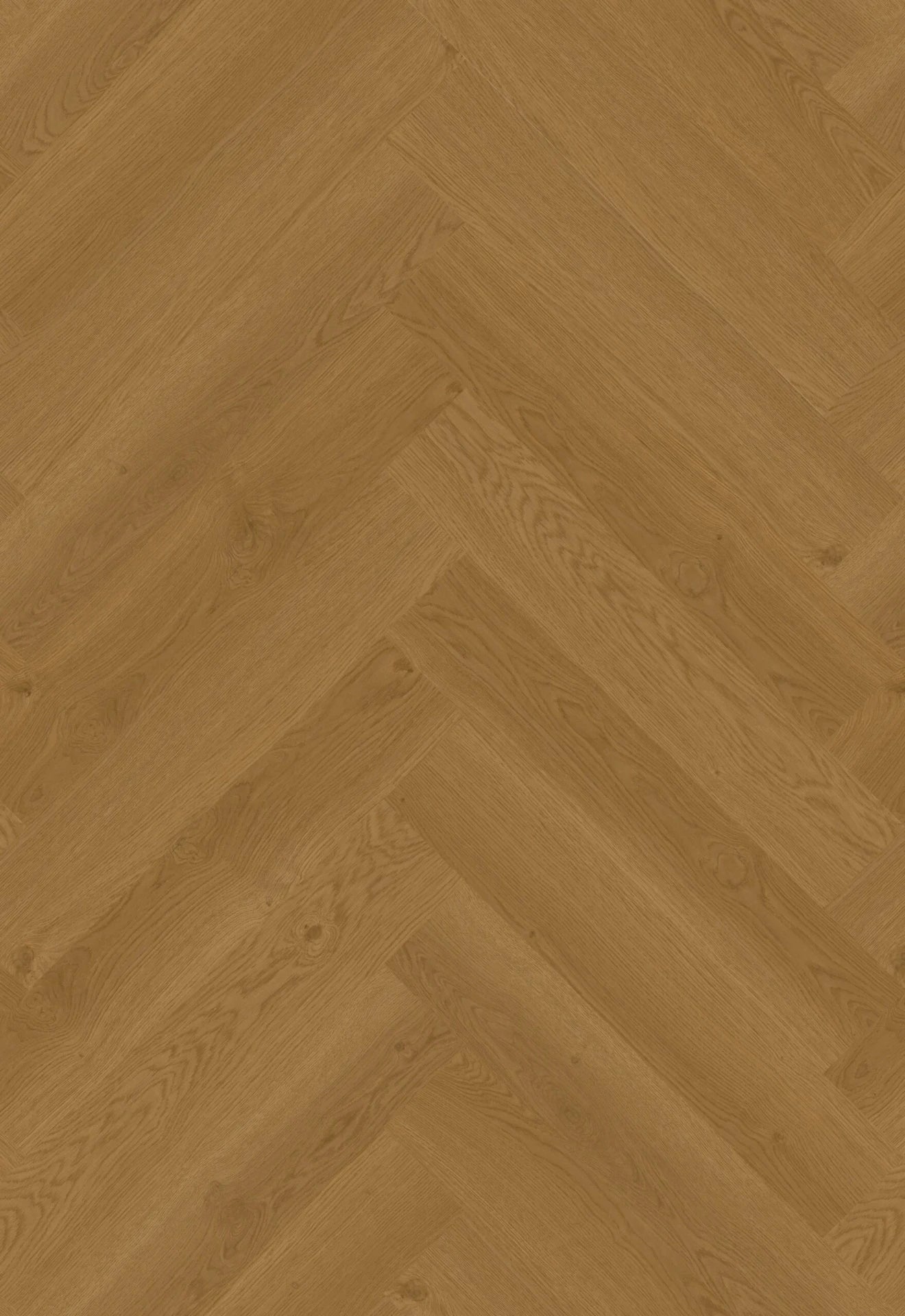 Hoomline - Elegance (Dryback / Visgraat)