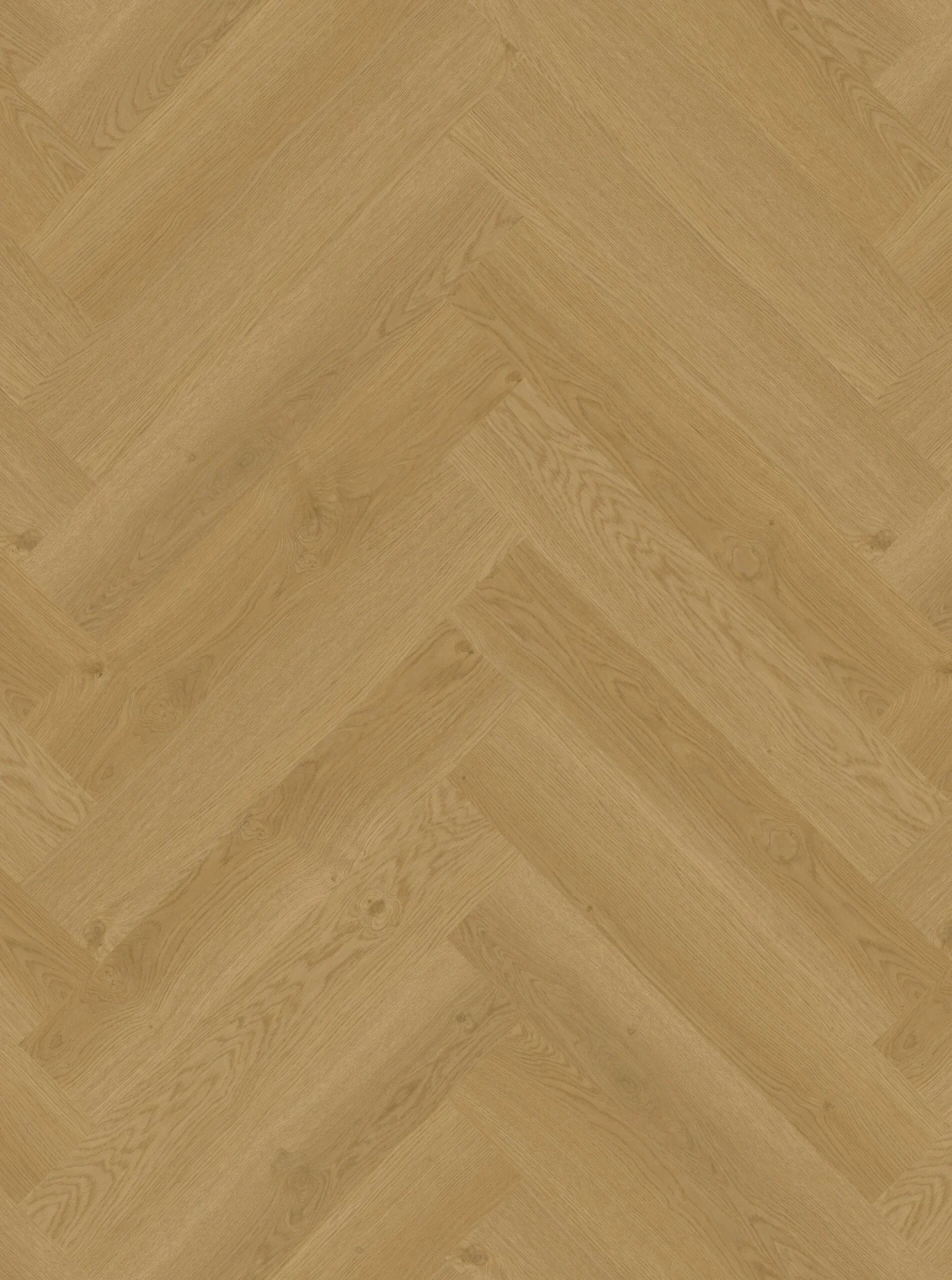 Hoomline - Elegance (Dryback / Visgraat)