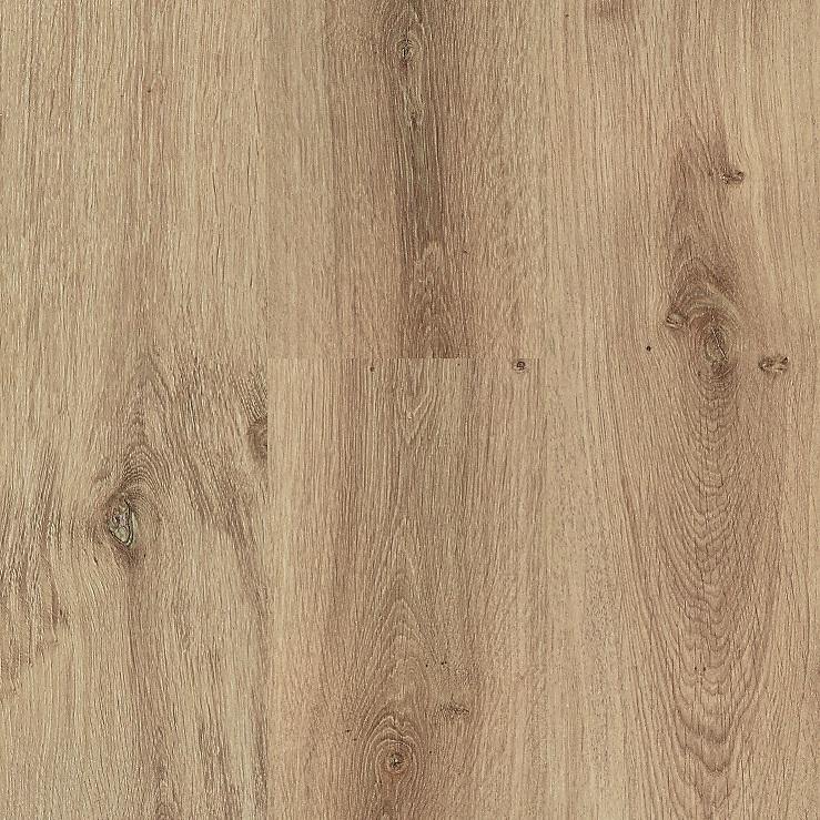 Royal XL V2 Wallis 491 - BRANDFLOORS