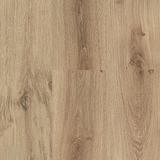 Royal XL V2 Wallis 491 - BRANDFLOORS