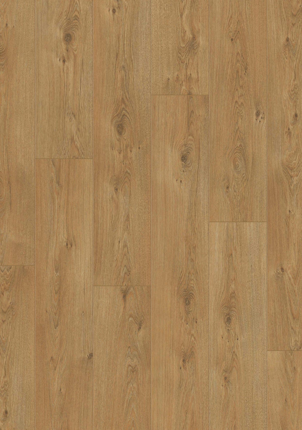 Balmoral XL V2 Oostende 5300 - BRANDFLOORS