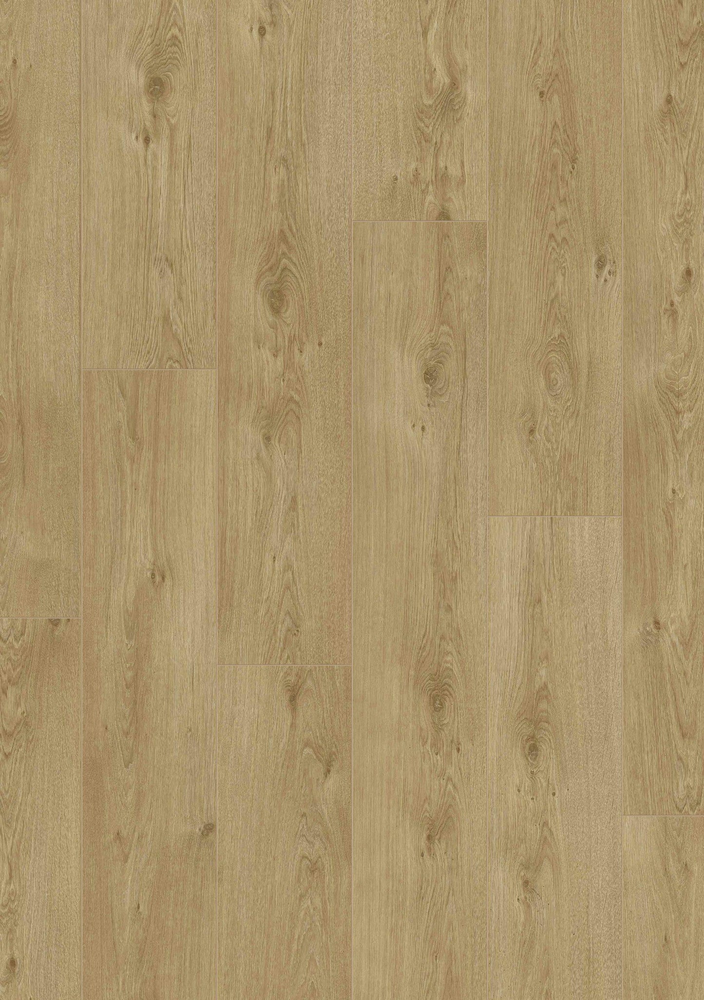 Royal V2 Aqua Protect Marche 583 - BRANDFLOORS